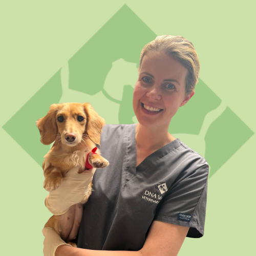 Mary Louise MVB MRCVS