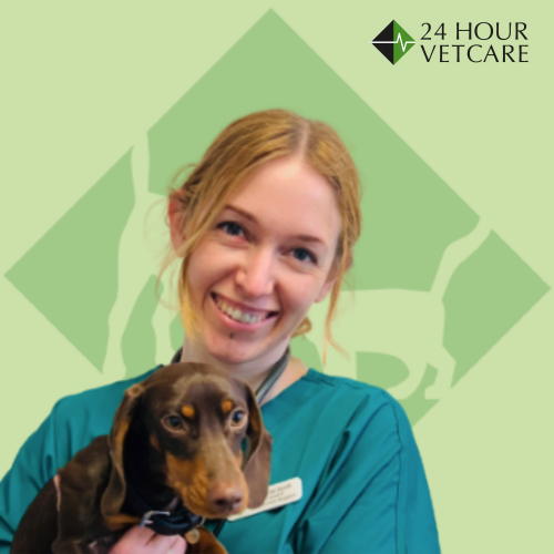 Rachel Bsc BVSc CertAVP MRCVS