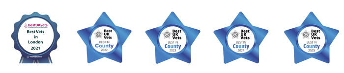 Best UK Vets - SHVS Website Asset 2025 Best UK Vets - SHVS Website Asset 2025