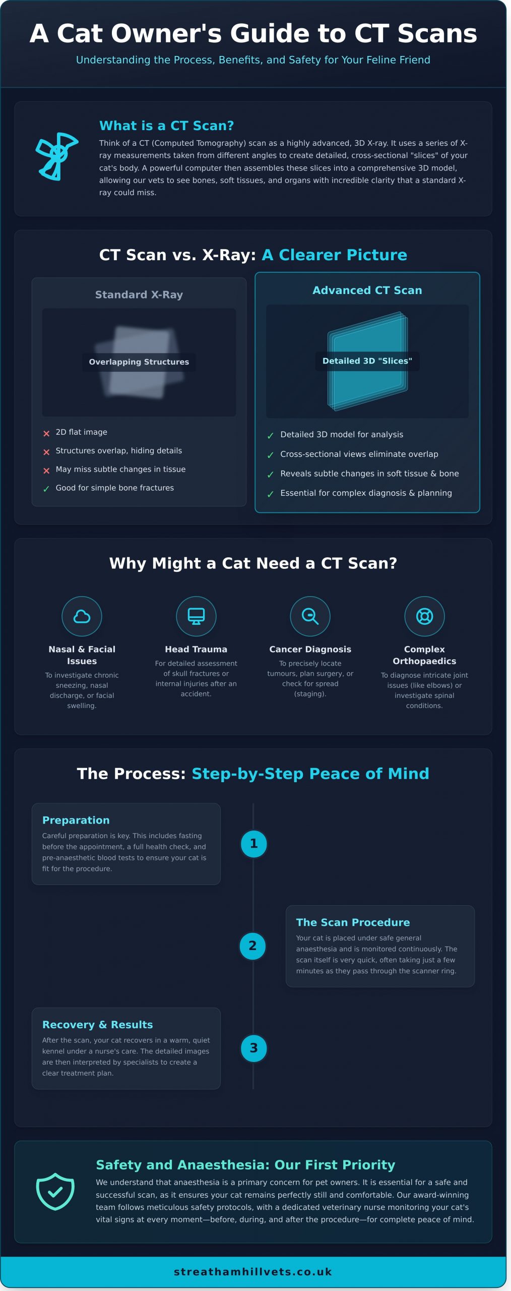 CT Scans for Cats: A Complete Guide for Concerned Owners - Infographic