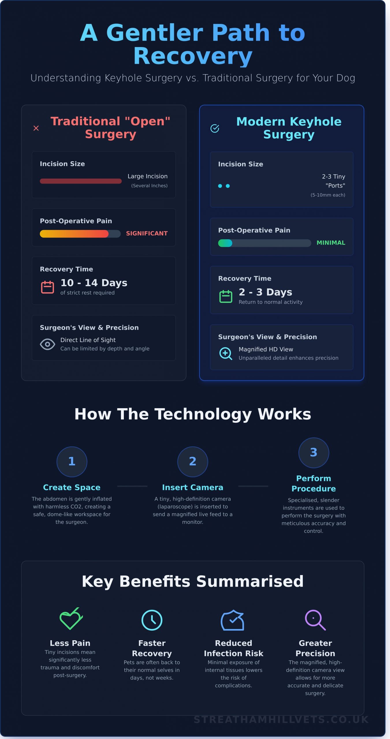 Keyhole Surgery for Dogs in London: A Gentler Approach to Care - Infographic