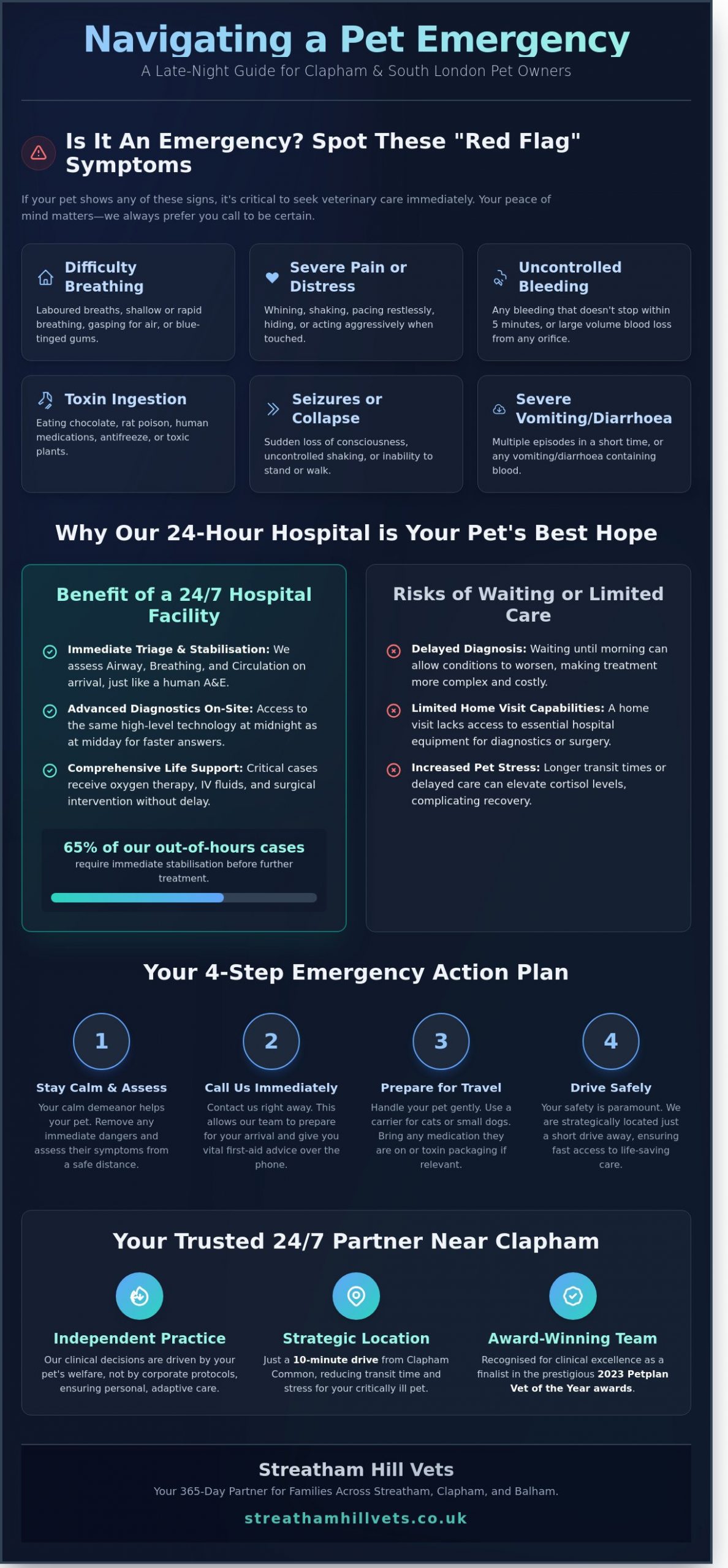 Late Night Vet Near Clapham: Expert 24/7 Care for Your Pet - Infographic