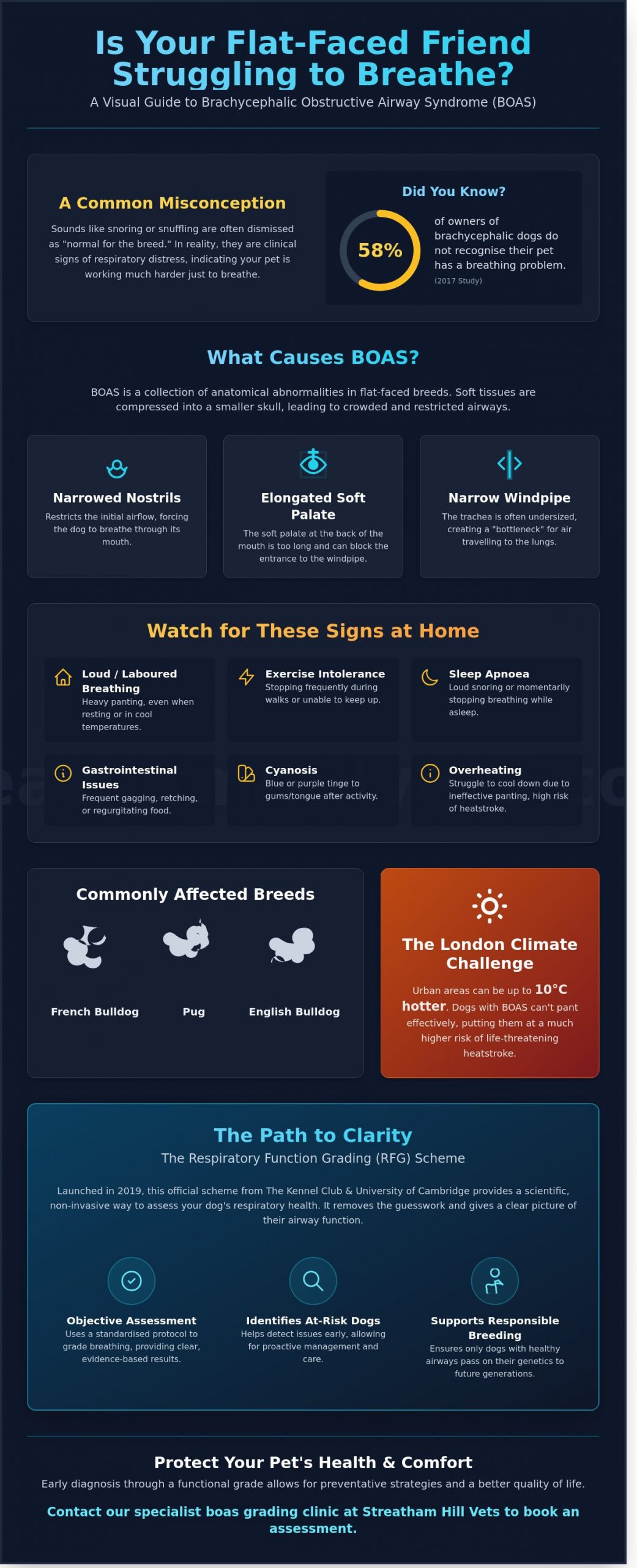 BOAS Grading Clinic in Streatham: The Complete Guide for South London Pet Owners - Infographic