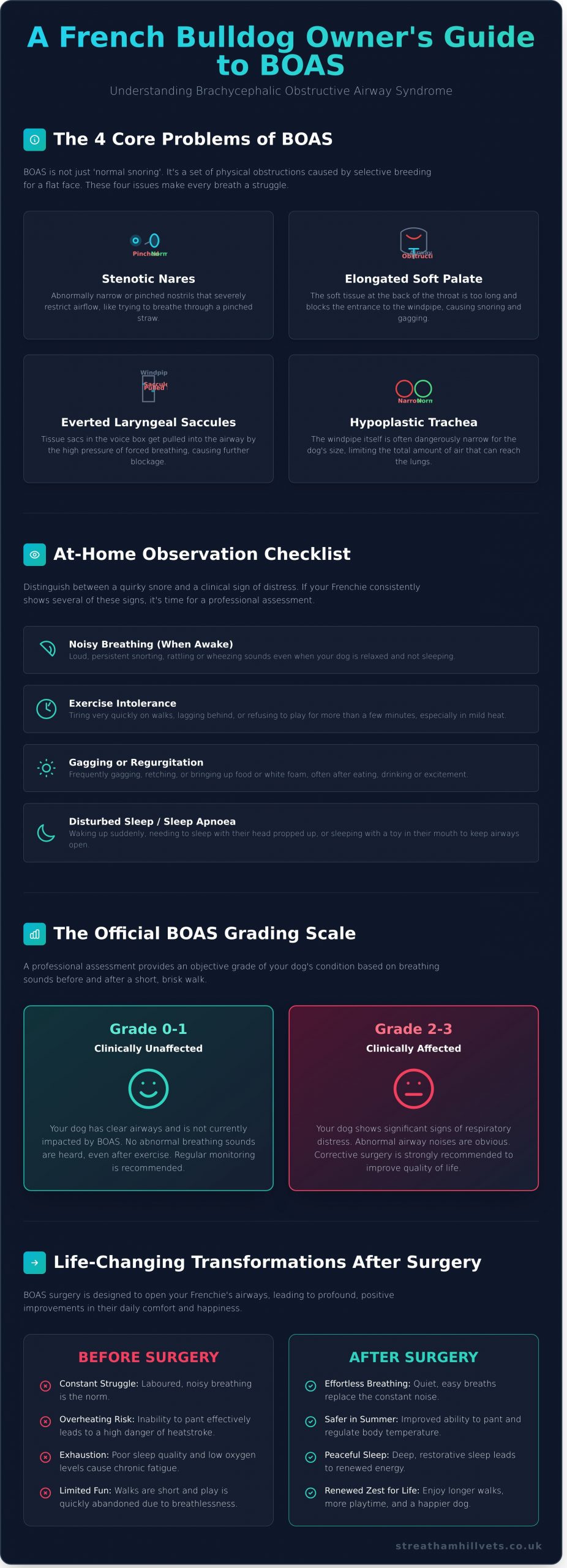 BOAS Surgery for French Bulldogs: A Complete Owner’s Guide (2026) - Infographic