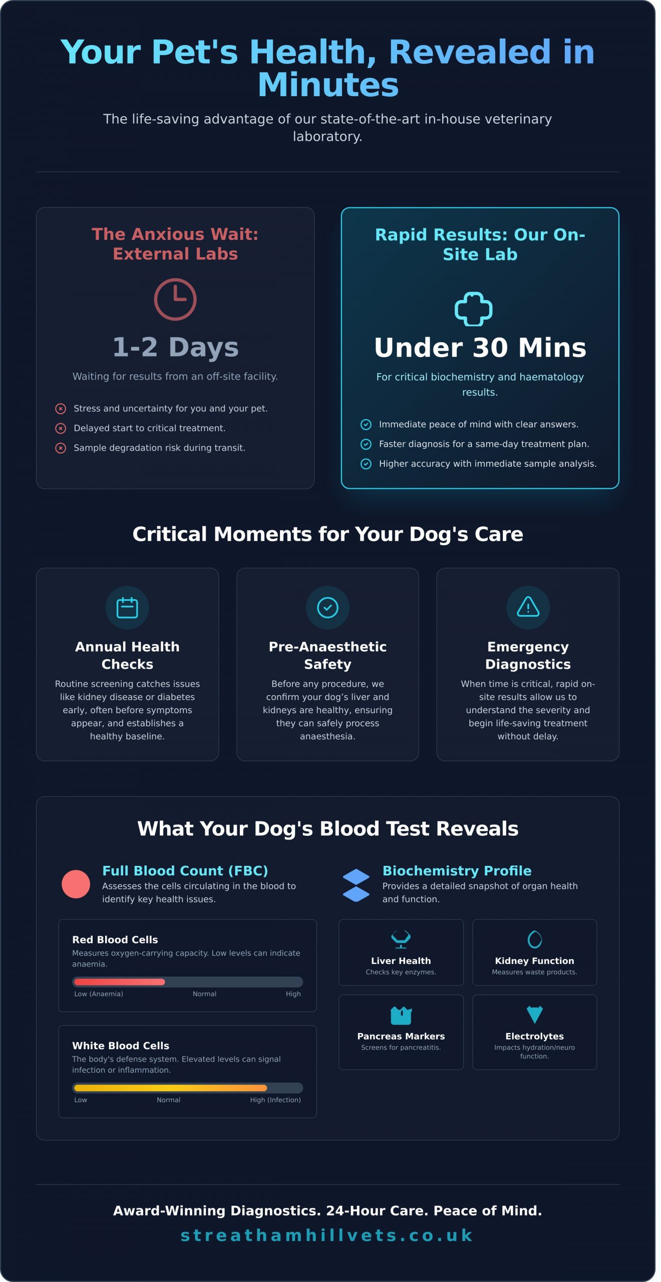 Dog Laboratory & Diagnostics in London: Getting Fast Answers for Your Pet - Infographic