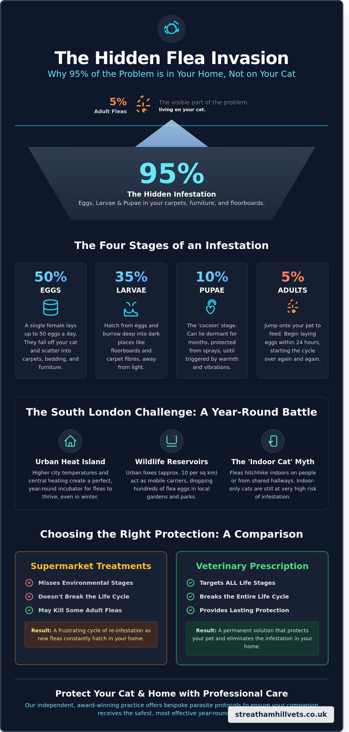 Effective Cat Flea Treatment in Streatham: A South London Vet’s Guide to Year-Round Protection - Infographic