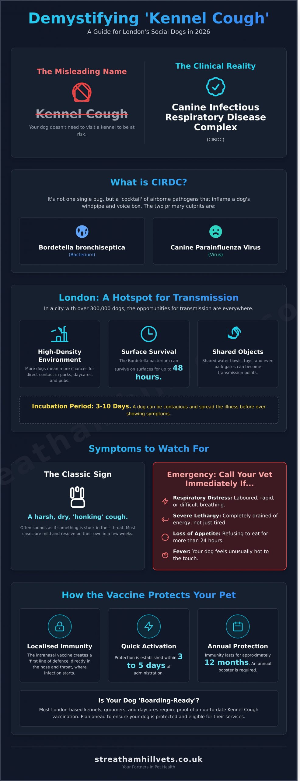 Kennel Cough Vaccine for Dogs: A Complete Guide for London Pet Owners (2026) - Infographic