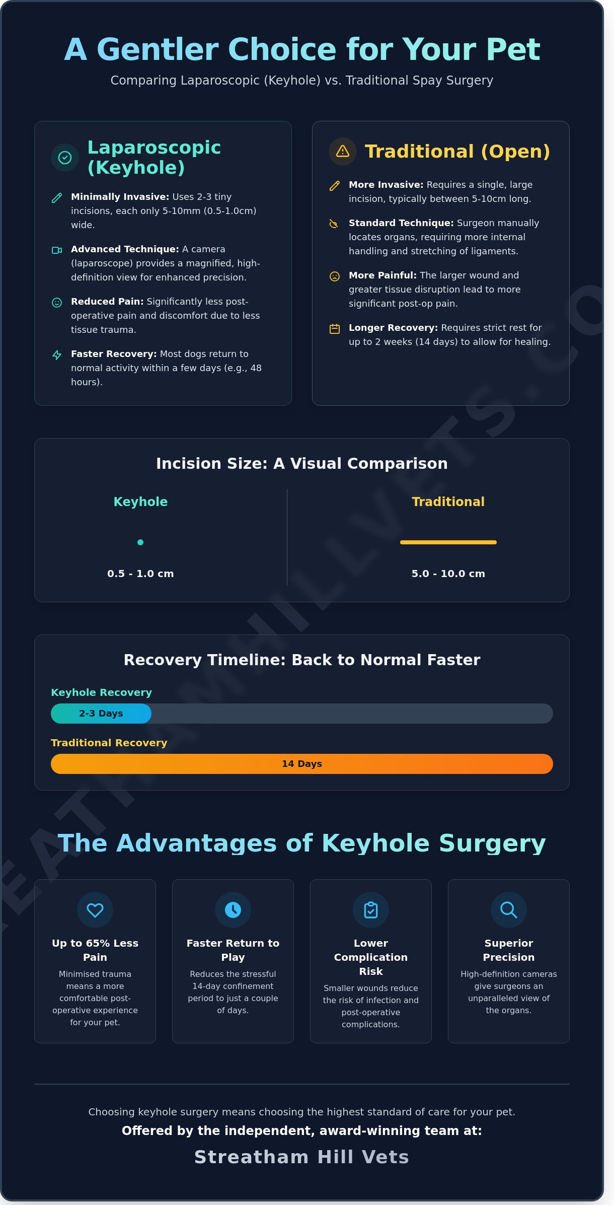 Laparoscopic Spay in Streatham & South London: A Comparison Guide for Pet Owners - Infographic