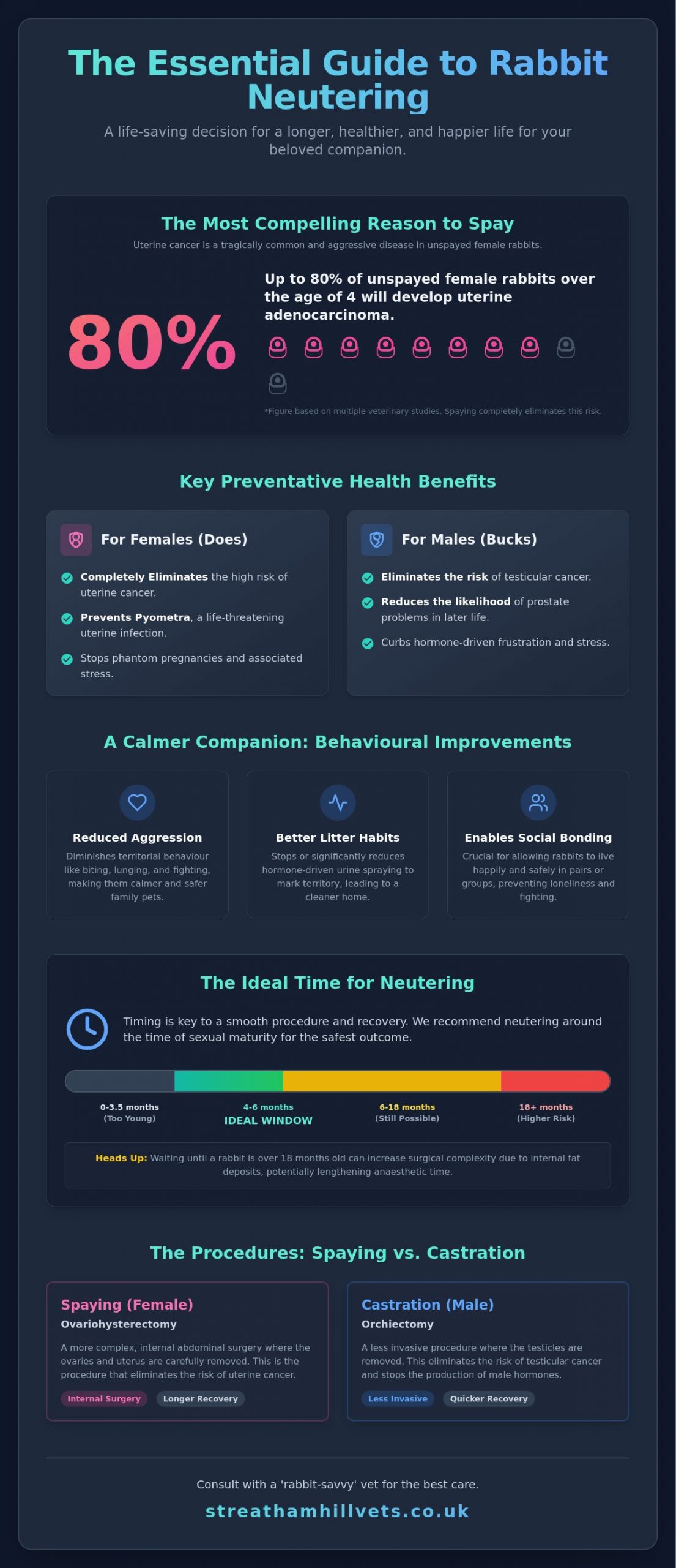 Rabbit Neutering in Streatham: The Complete 2026 Guide for South London Owners - Infographic