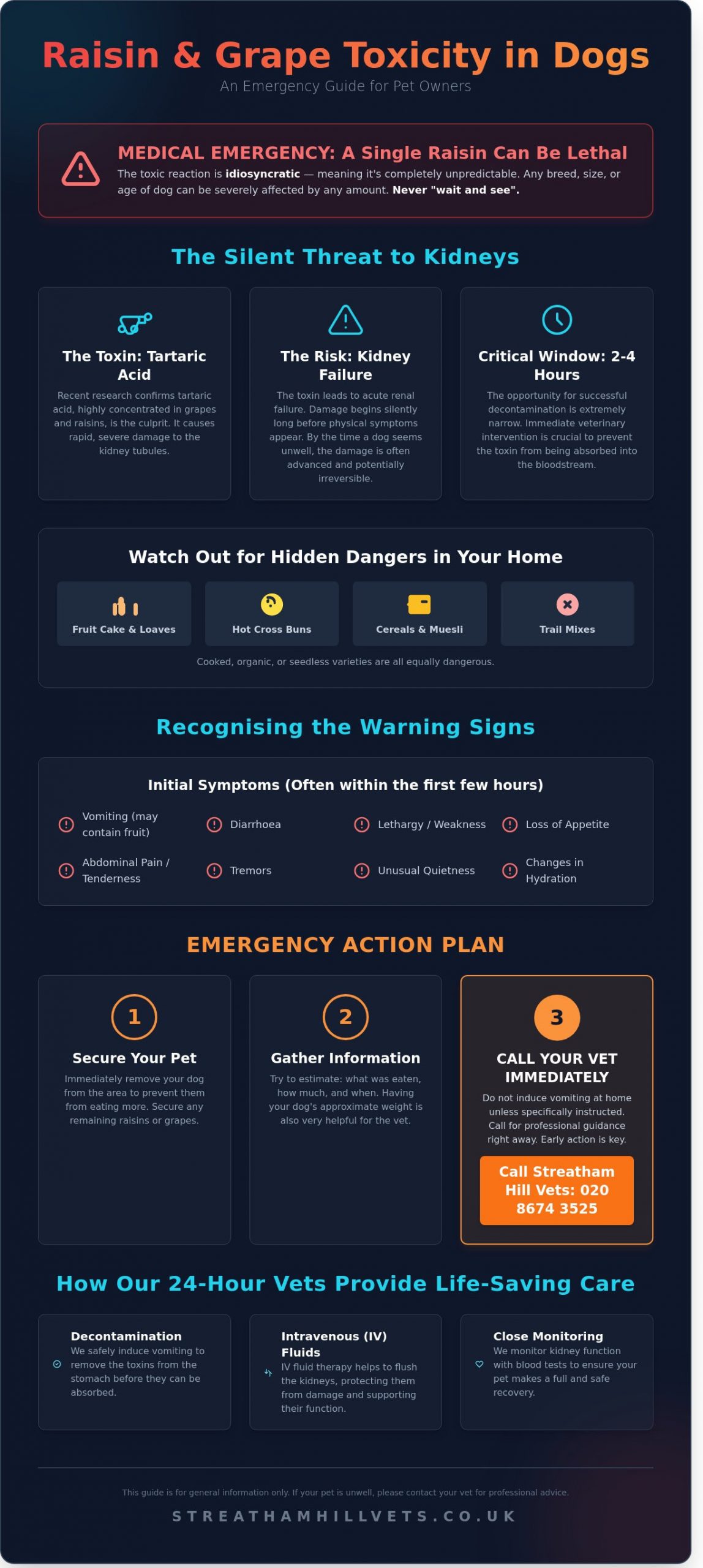 Raisins and Dogs: Why Every Bite is a Veterinary Emergency in Streatham - Infographic