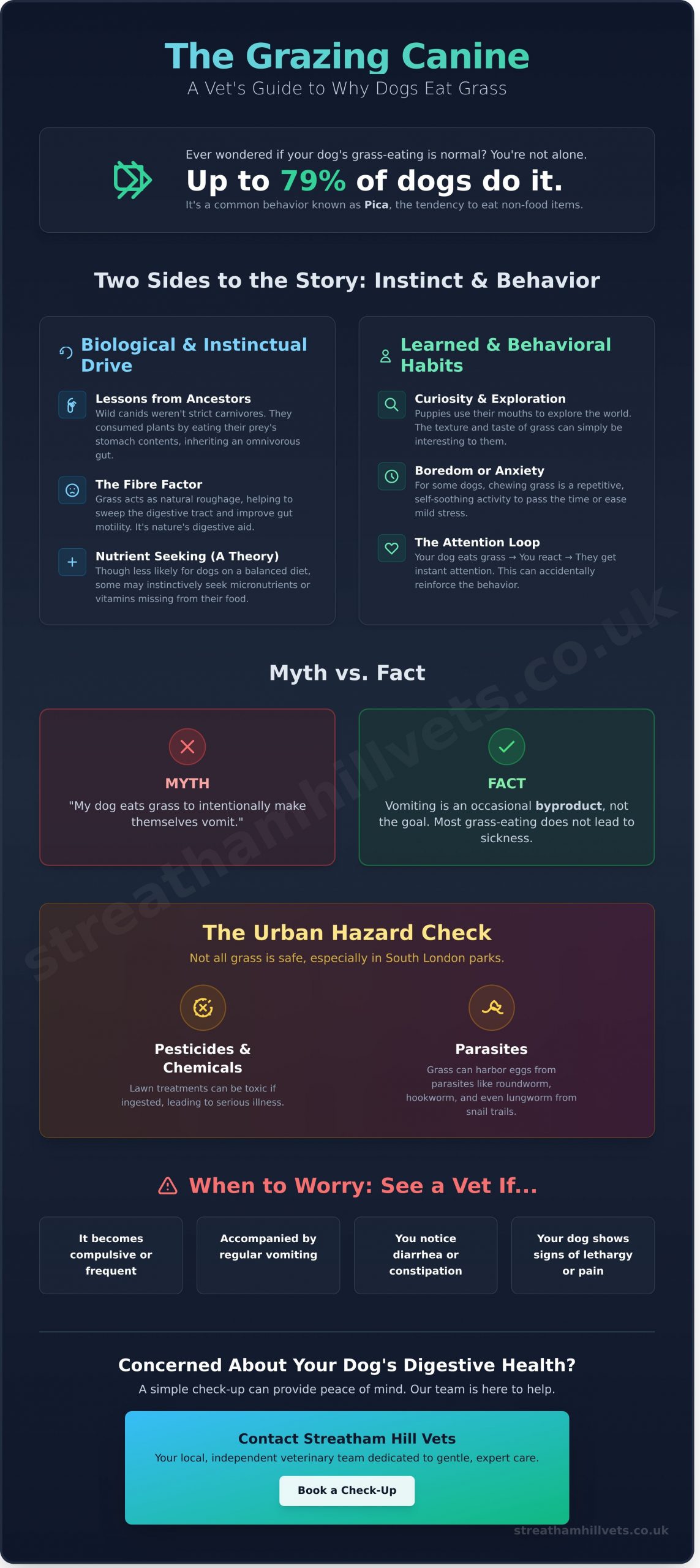 Why Do Dogs Eat Grass? A South London Vet’s Guide to Grazing and Gut Health - Infographic
