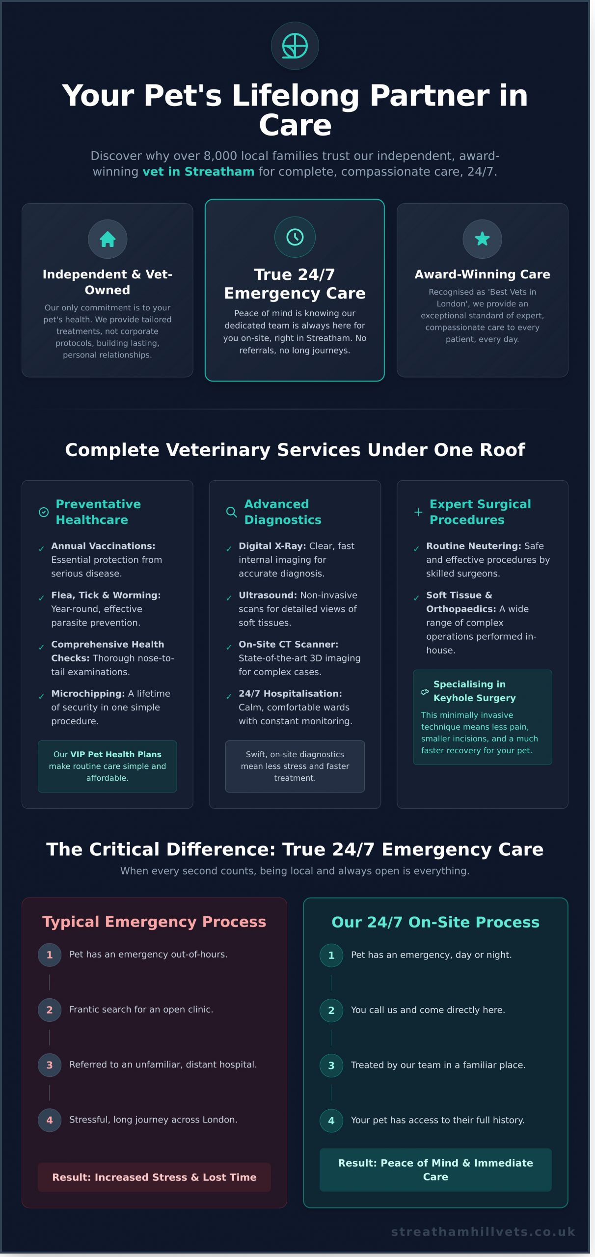 Your Trusted Vet in Streatham: 24-Hour Care for Your Beloved Pet - Infographic