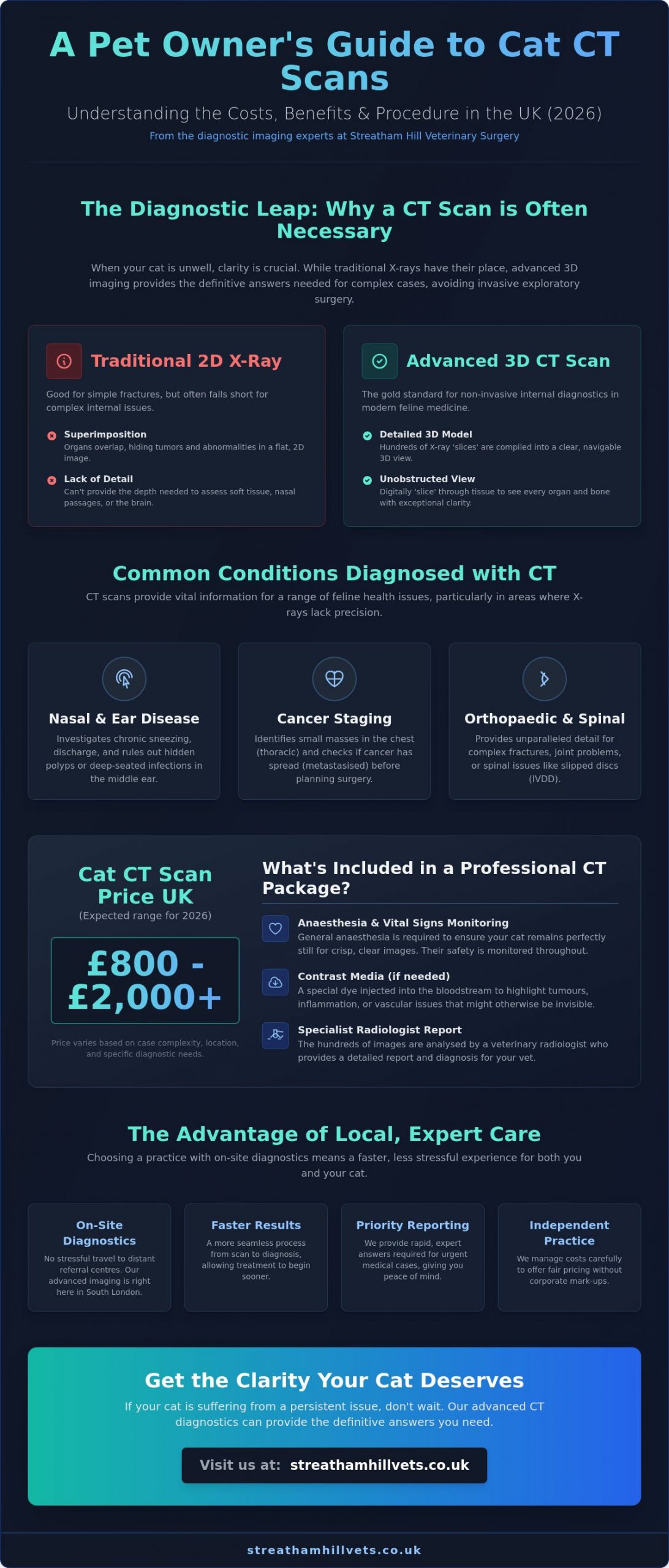 Cat CT Scan Price UK: A South London Guide for 2026 - Infographic