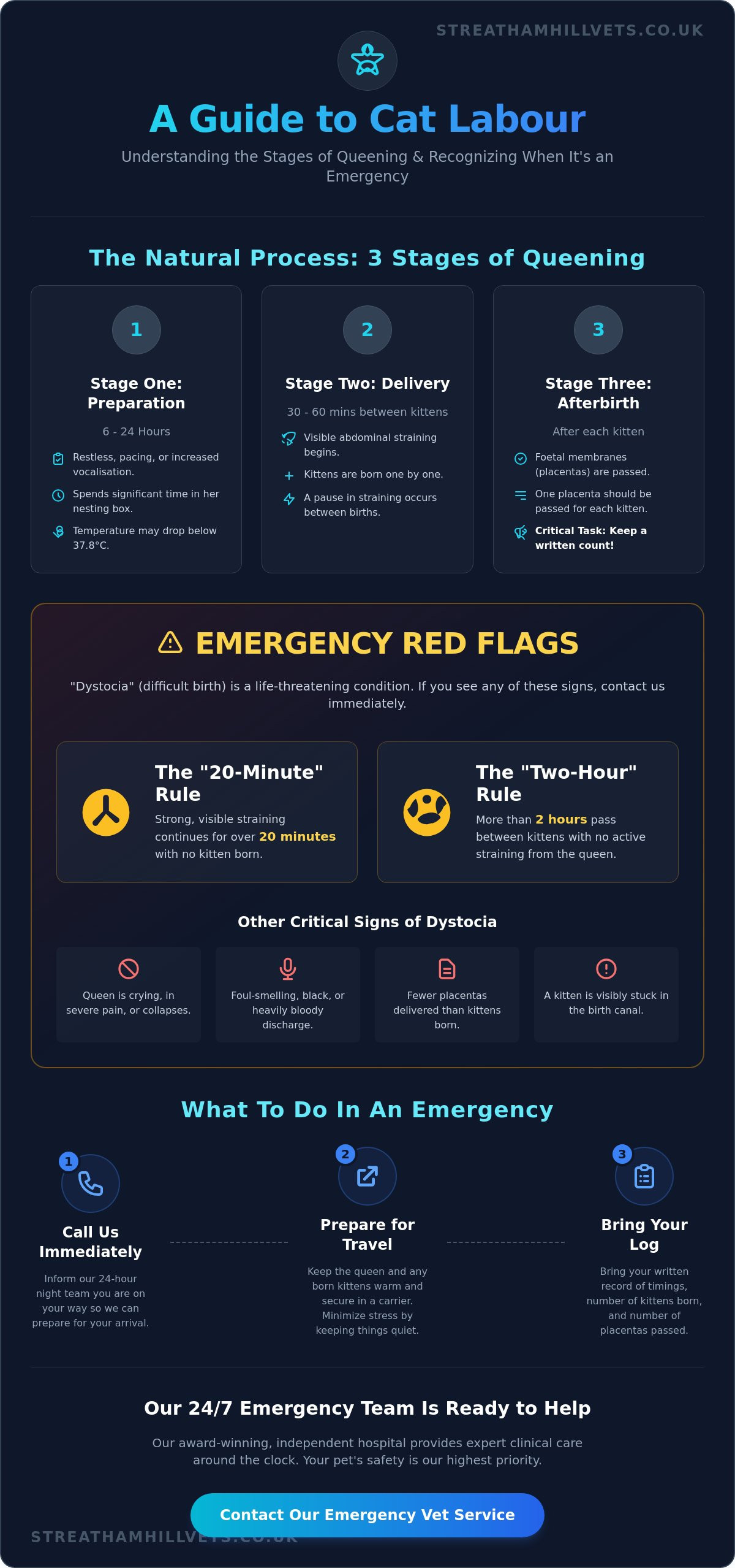 Cat in Labour: When to Call an Emergency Vet in London - Infographic
