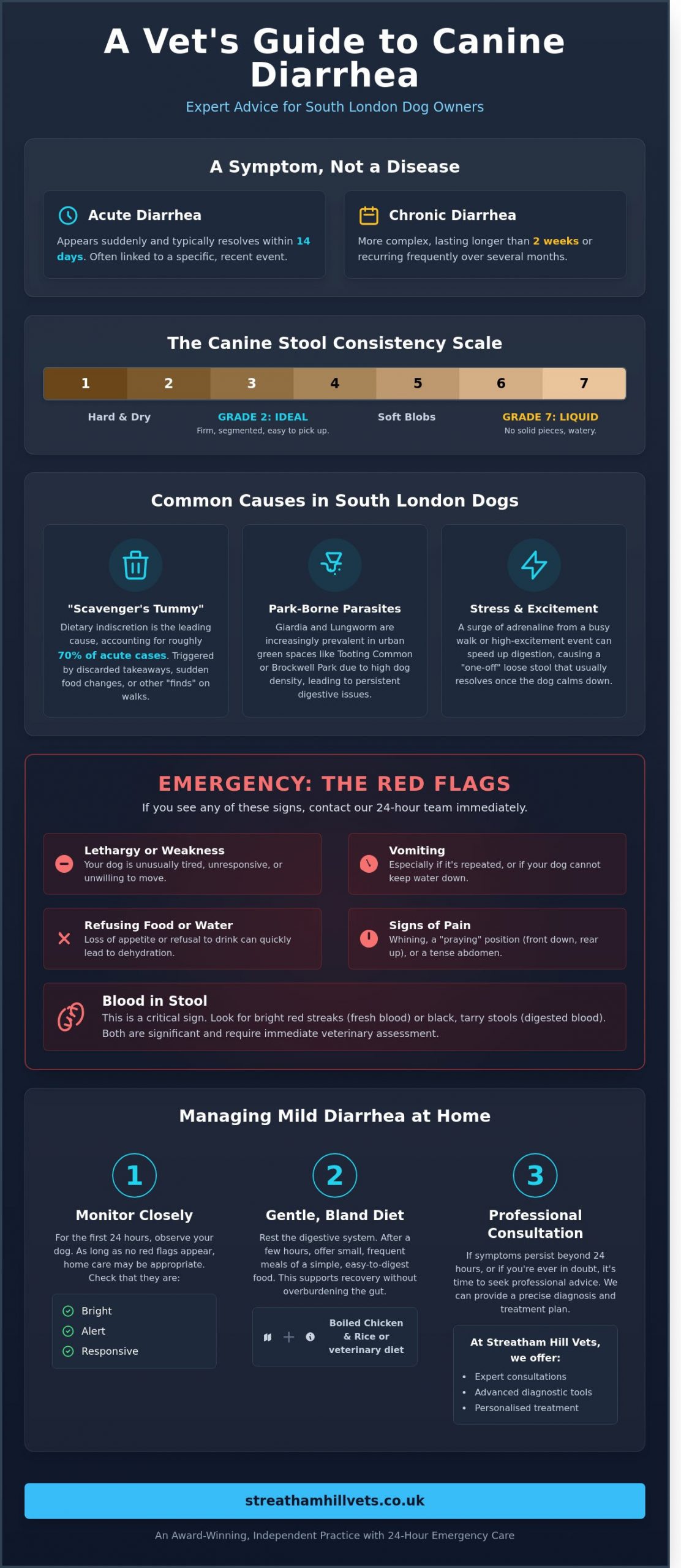 Diarrhoea in Canines: A South London Vet’s Guide to Causes and Care - Infographic