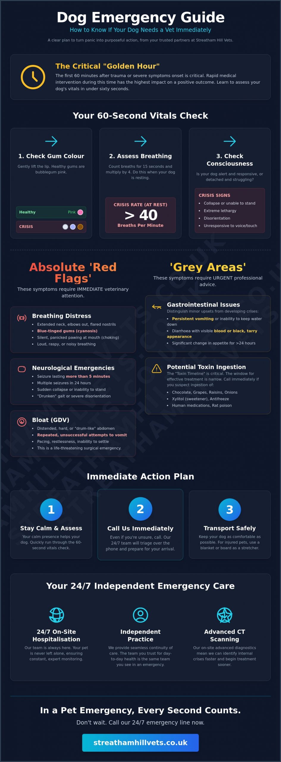 Dog Emergency Guide: How to Know if Your Dog Needs a Vet Immediately in Streatham - Infographic
