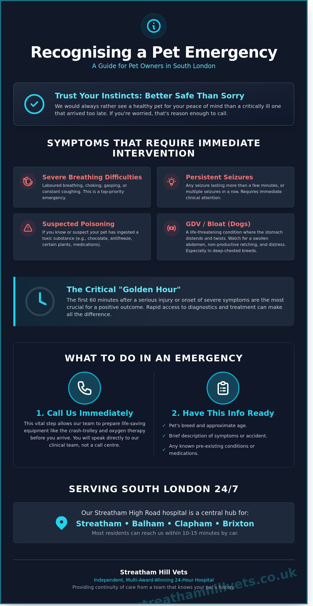 Emergency Vet Near Me Now: 24-Hour Urgent Care in Streatham and South London - Infographic