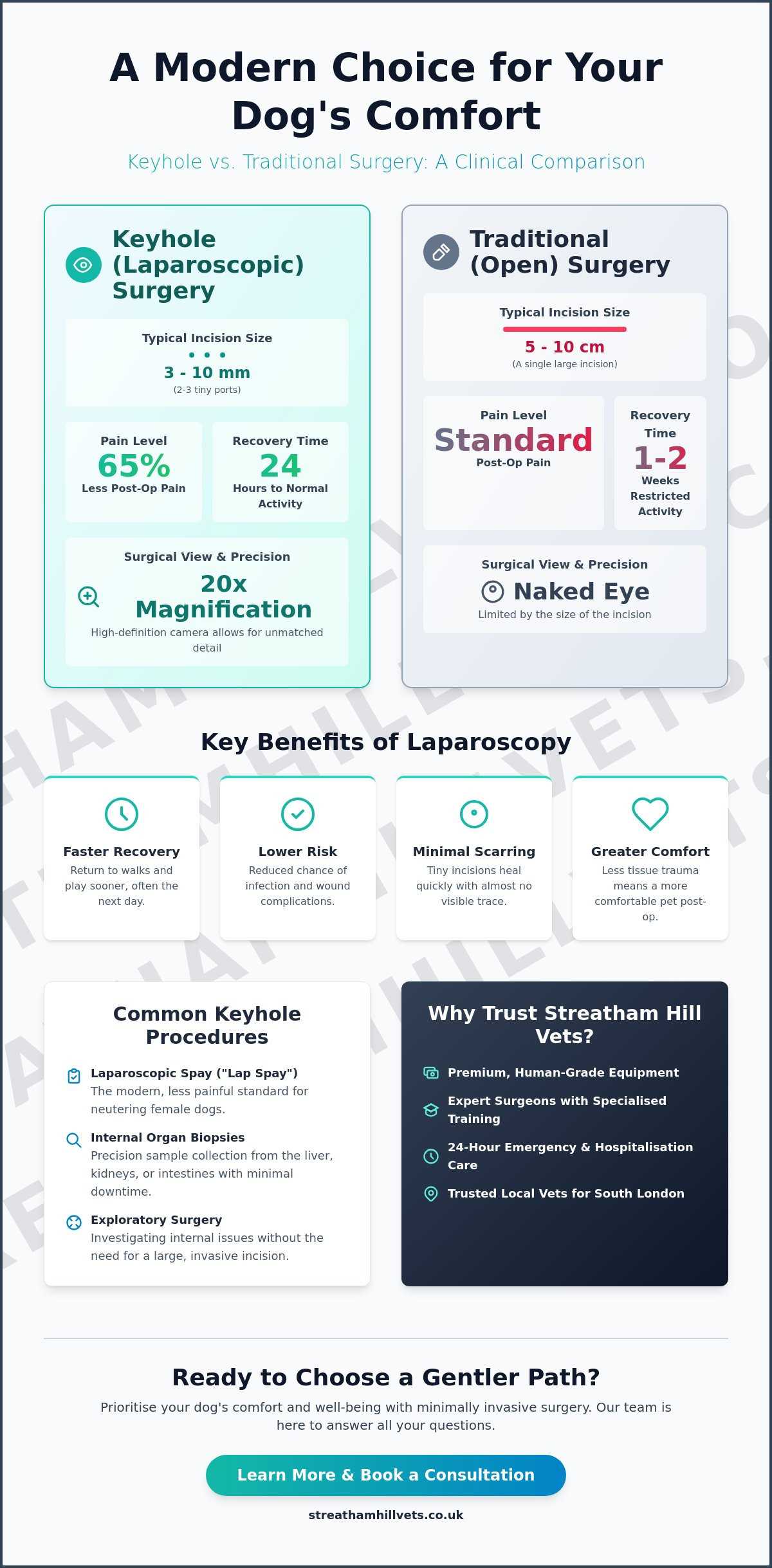 Keyhole Surgery for Dogs in South London: A Gentle Path to Recovery - Infographic