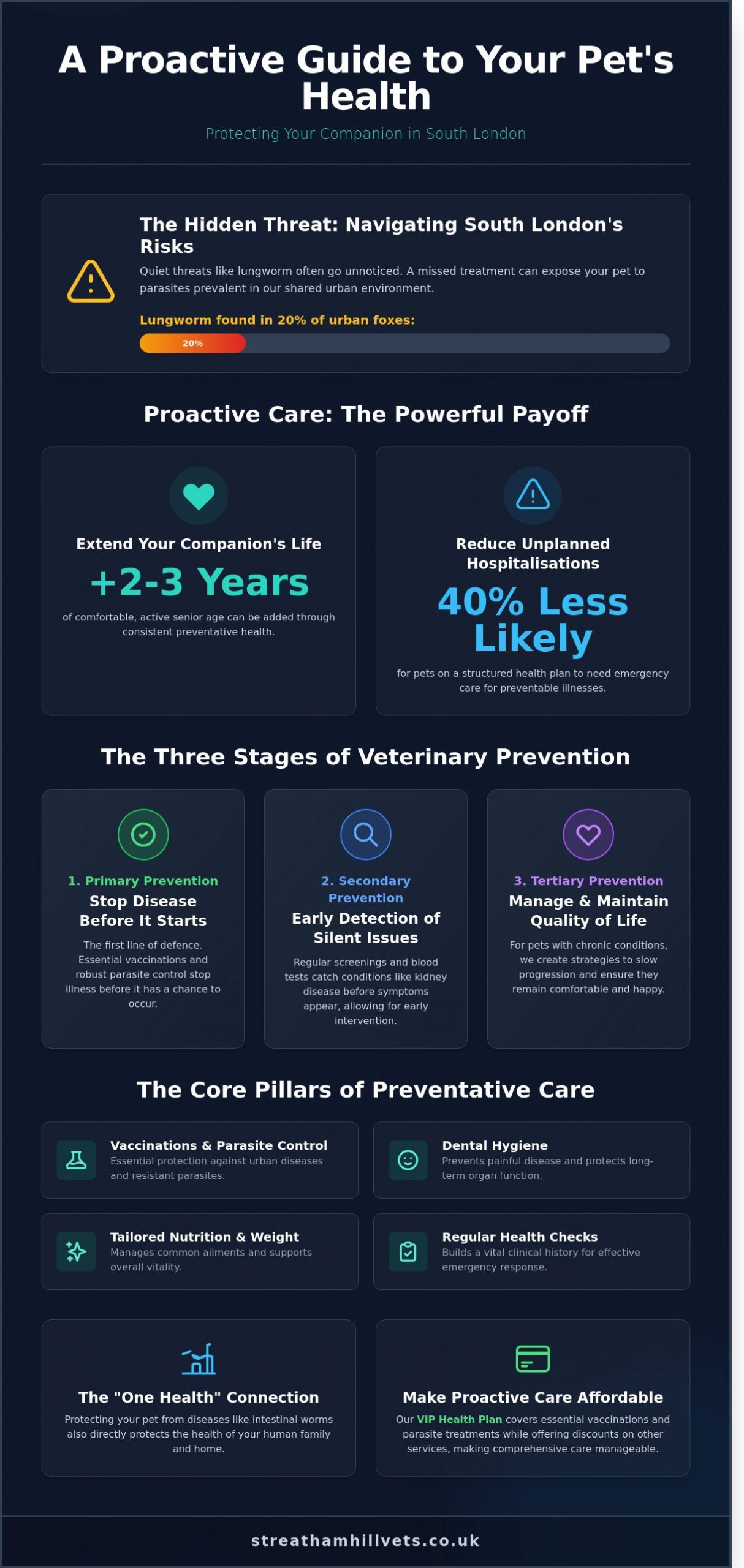 Preventative Health for Pets: A Guide for South London Owners - Infographic