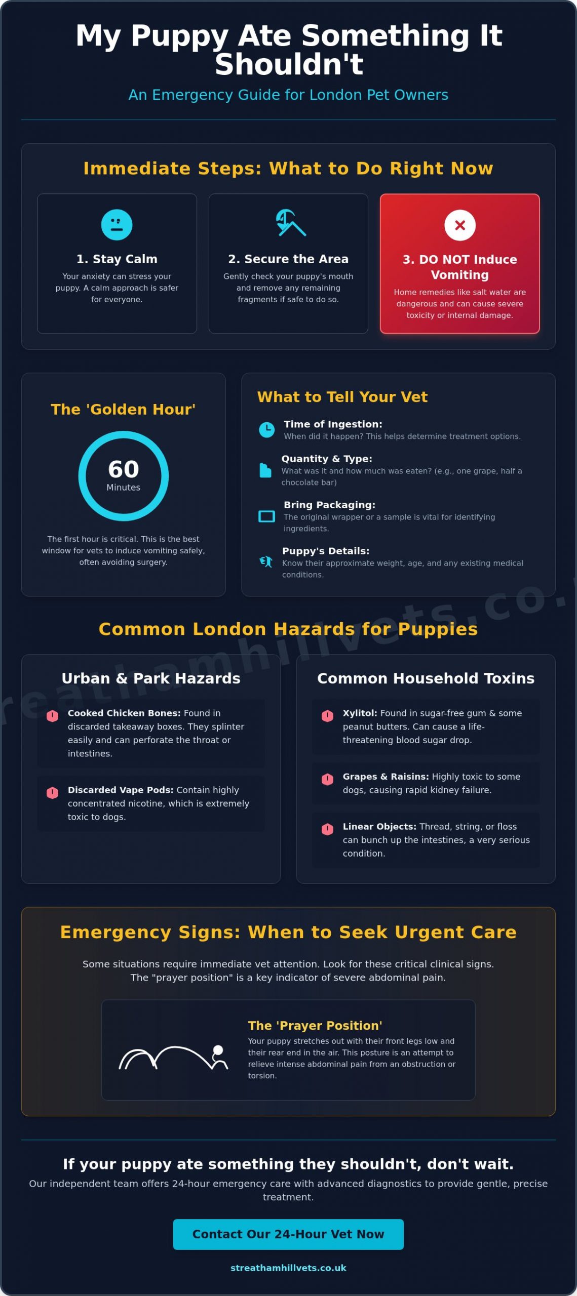 Puppy Ate Something It Shouldn’t? A South London Vet’s Emergency Guide - Infographic