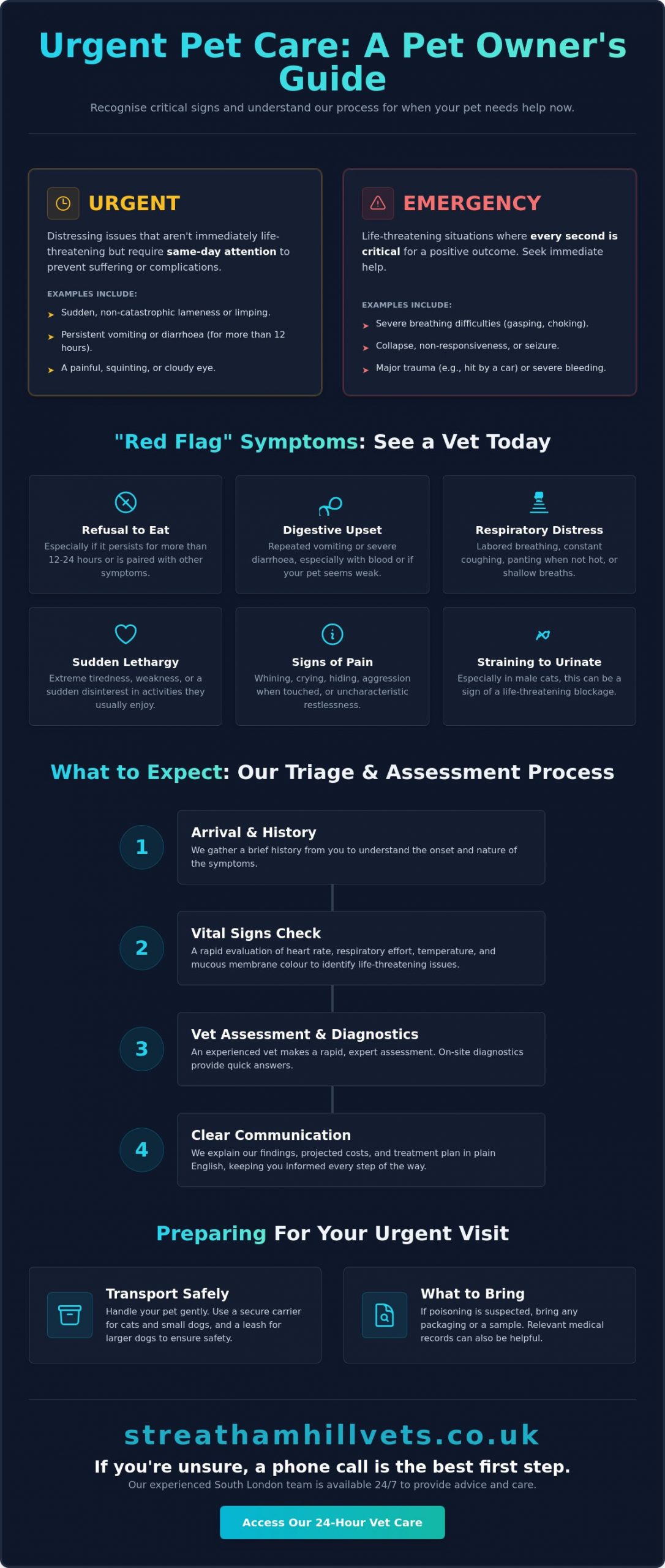 Urgent Vet Appointment in Streatham: A Guide for Concerned Pet Owners - Infographic
