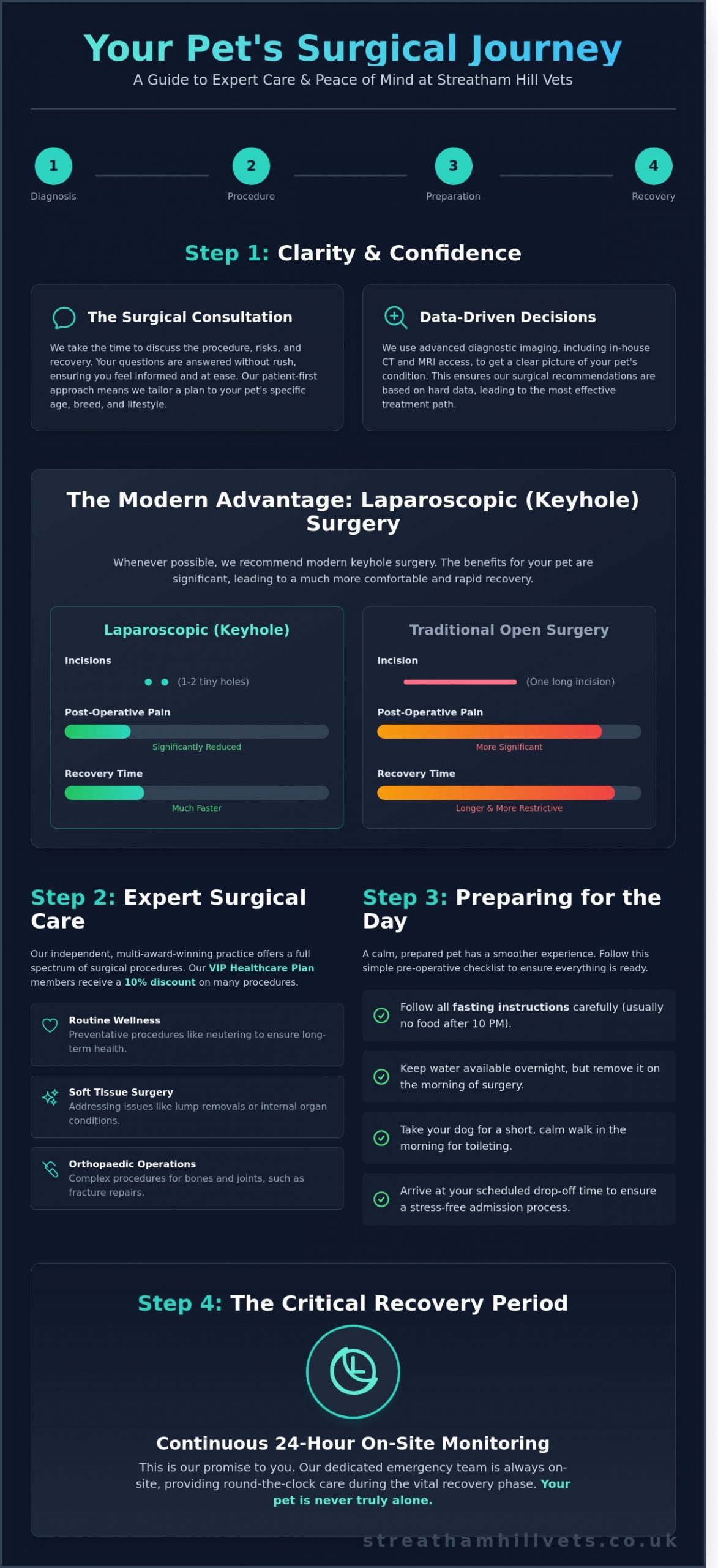 Veterinary Operation Guide: Expert Surgical Care in Streatham and South London - Infographic
