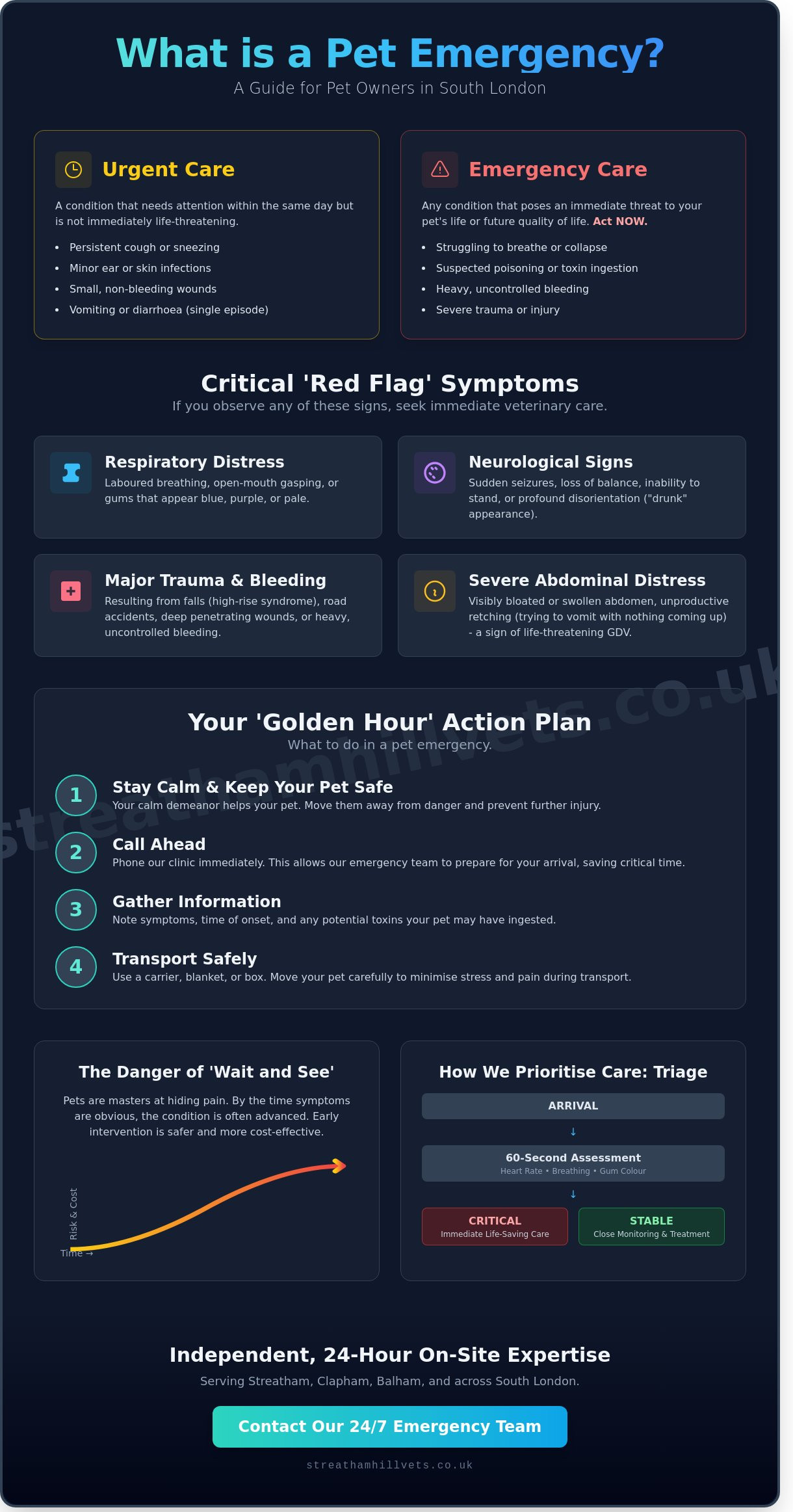 What is a Pet Emergency? A South London Guide to Urgent Vet Care - Infographic