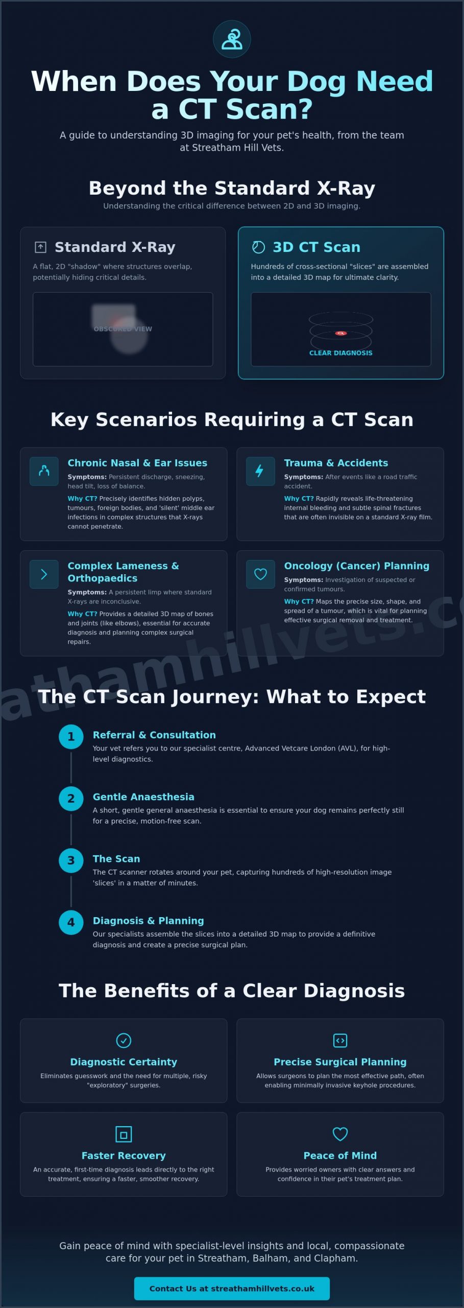 When Does a Dog Need a CT Scan? A South London Vet’s Guide for Streatham & Balham Owners - Infographic