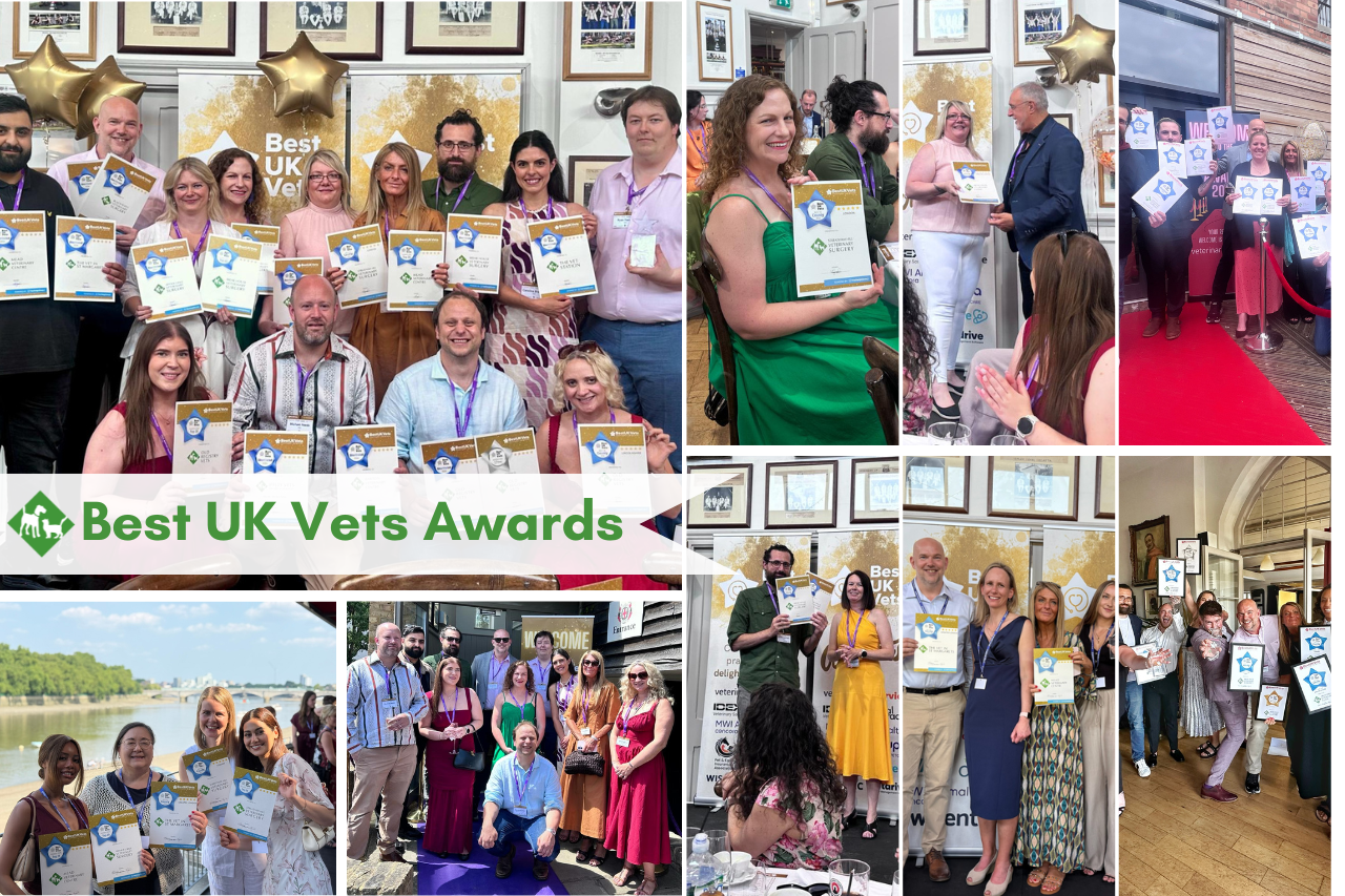 Best UK Vets 2023 with medals_ (2)