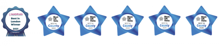 Streatham Hill Vets Awards