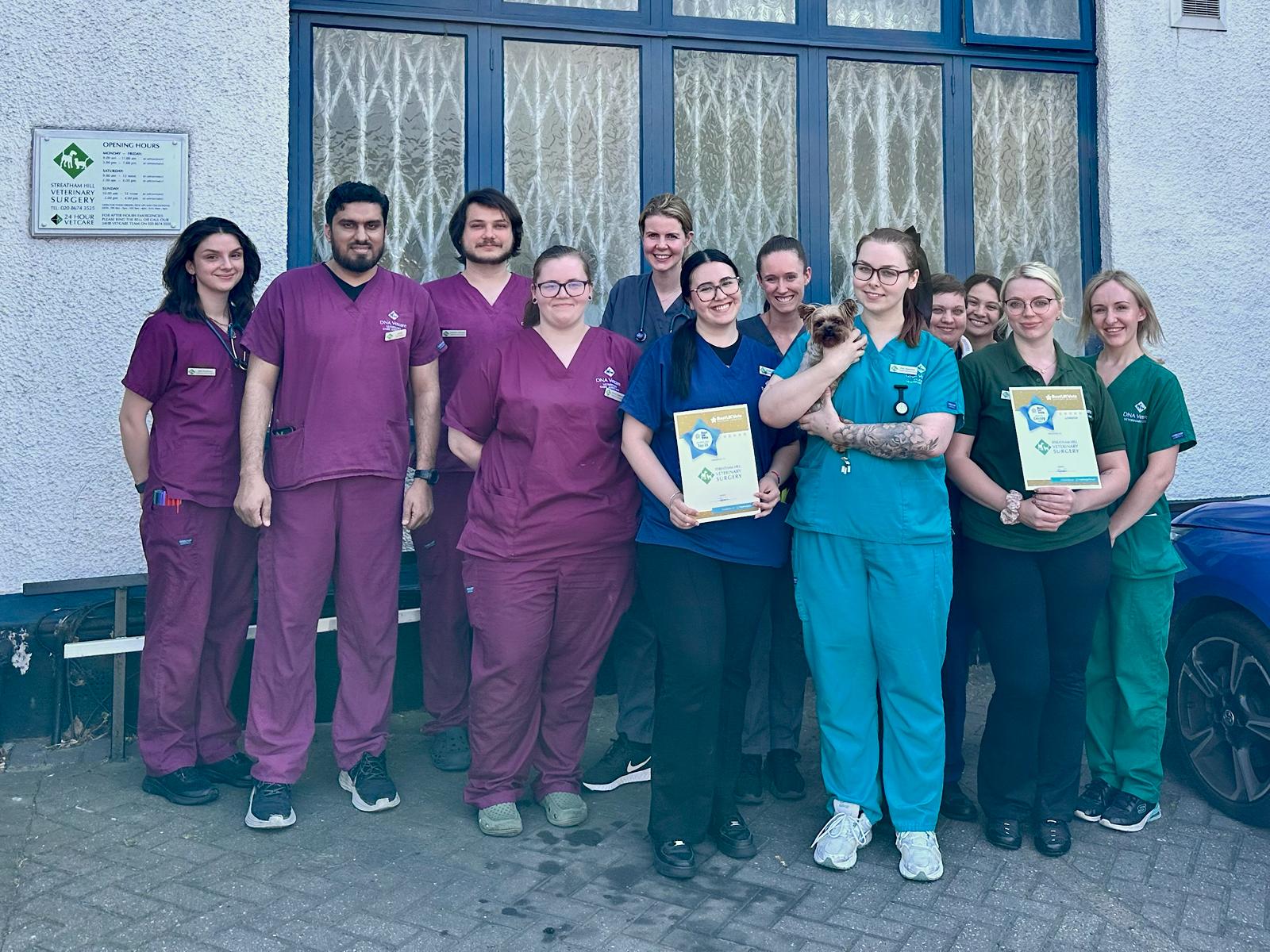 Streatham Hill vets - Blogs